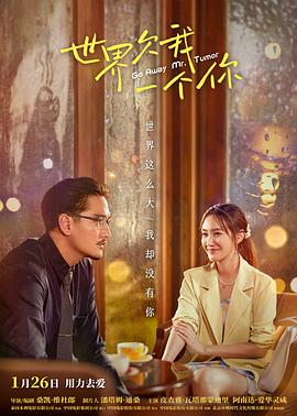 淮阴优化seo软件价格